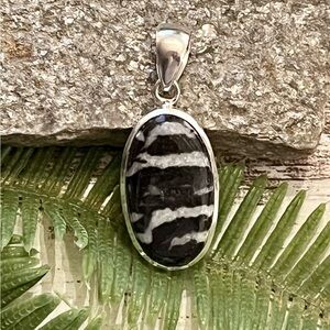 Natural White Buffalo Sterling Silver 1.5” Gemstone Pendant